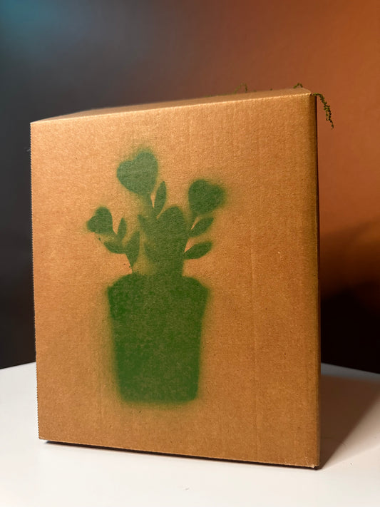 Kit pentru grădinărit urban Plant From Home